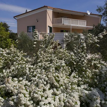 Omnes بيت للعطل Ražanj